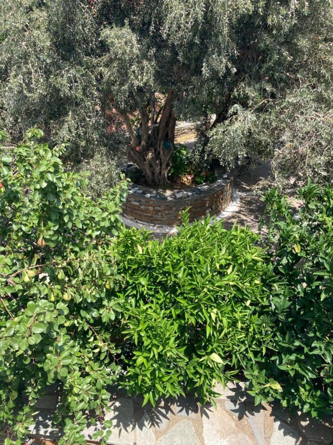 Agkyra Rooms Aladhinon Екстериор снимка